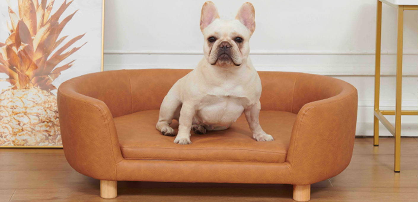 Affordable Luxury: How Wholesale Pet Sofas Elevate Pet Comfort