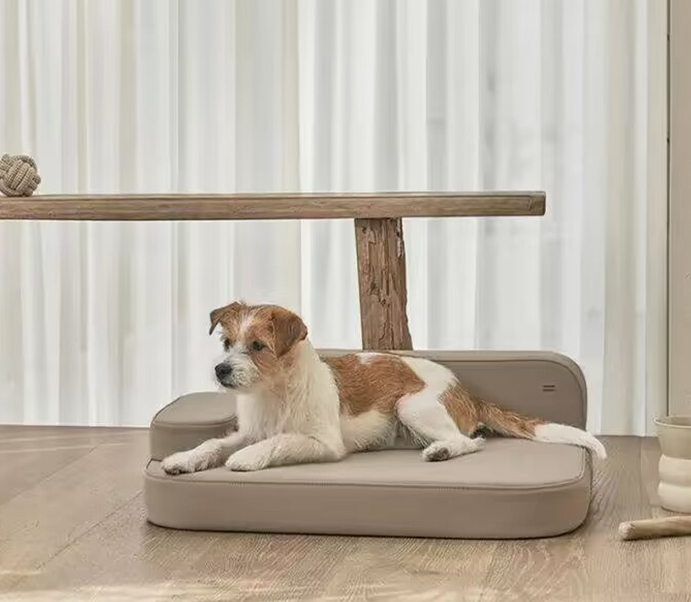 The Manufacturing Process Behind China Pet Furniture Factory Creations