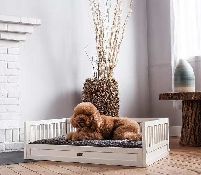 Demand Grows For Oversized Pet Sofa Beds As Pet Comfort Trends Evolve